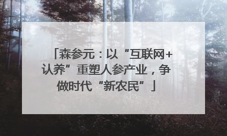 森参元：以“互联网+认养”重塑人参产业，争做时代“新农民”