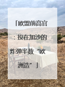 欧盟前高官：投在加沙的炸弹半数“欧洲造”