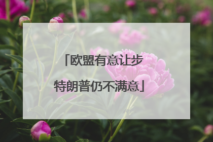 欧盟有意让步 特朗普仍不满意