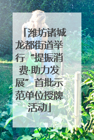 潍坊诸城龙都街道举行“提振消费·助力发展”首批示范单位授牌活动