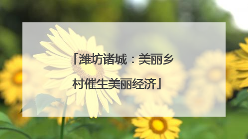 潍坊诸城：美丽乡村催生美丽经济