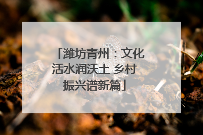 潍坊青州：文化活水润沃土 乡村振兴谱新篇