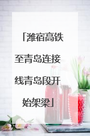 潍宿高铁至青岛连接线青岛段开始架梁