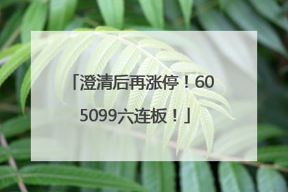 澄清后再涨停！605099六连板！