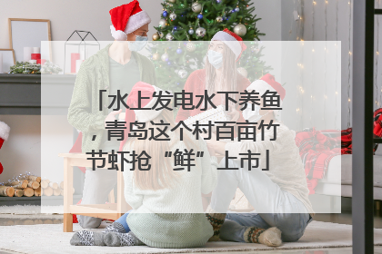 水上发电水下养鱼，青岛这个村百亩竹节虾抢“鲜”上市