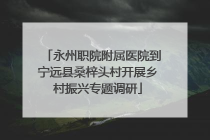 永州职院附属医院到宁远县桑梓头村开展乡村振兴专题调研