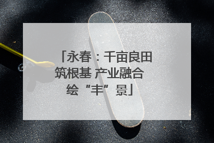 永春：千亩良田筑根基 产业融合绘“丰”景