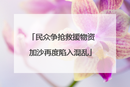 民众争抢救援物资 加沙再度陷入混乱