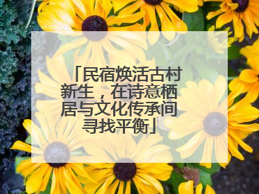 民宿焕活古村新生，在诗意栖居与文化传承间寻找平衡