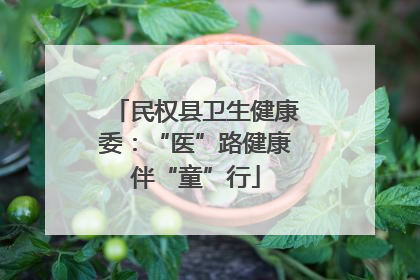 民权县卫生健康委：“医”路健康伴“童”行