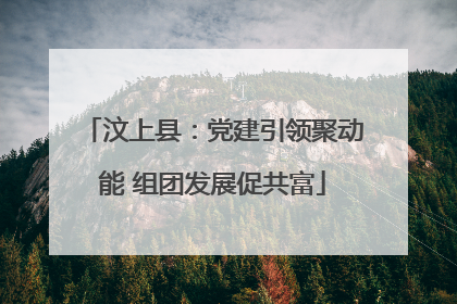 汶上县：党建引领聚动能 组团发展促共富