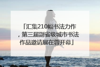 汇集210幅书法力作，第三届副省级城市书法作品邀请展在蓉开幕