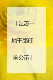 江苏一地干部任前公示