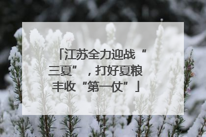 江苏全力迎战“三夏”，打好夏粮丰收“第一仗”