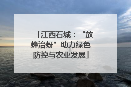 江西石城：“放蜂治蚜”助力绿色防控与农业发展