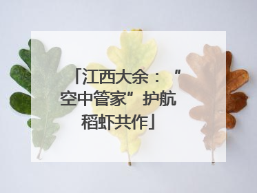 江西大余：“空中管家”护航稻虾共作