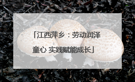 江西萍乡：劳动润泽童心 实践赋能成长