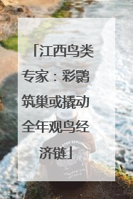 江西鸟类专家：彩鹮筑巢或撬动全年观鸟经济链