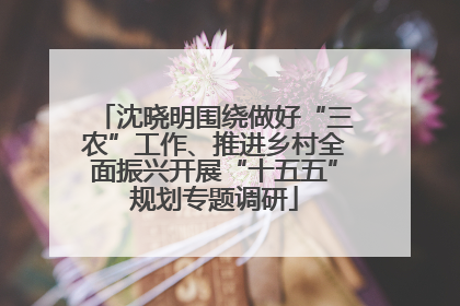 沈晓明围绕做好“三农”工作、推进乡村全面振兴开展“十五五”规划专题调研