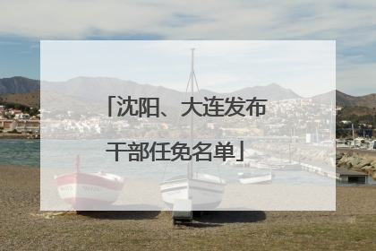 沈阳、大连发布干部任免名单