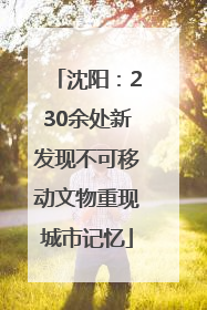 沈阳：230余处新发现不可移动文物重现城市记忆