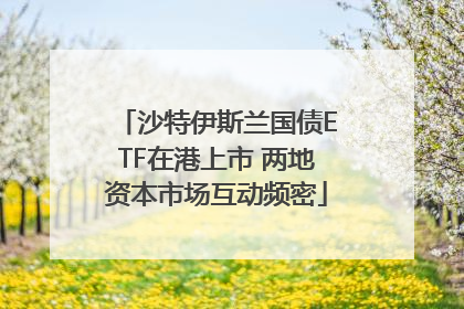 沙特伊斯兰国债ETF在港上市 两地资本市场互动频密
