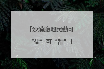 沙漠腹地民勤可“盐”可“甜”