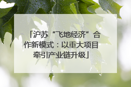 沪苏“飞地经济”合作新模式：以重大项目牵引产业链升级