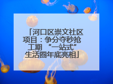 河口区崇文社区项目：争分夺秒抢工期 “一站式”生活圈年底亮相
