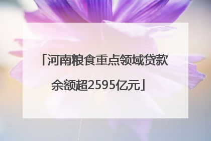 河南粮食重点领域贷款余额超2595亿元
