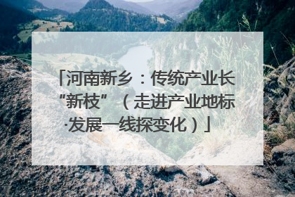河南新乡：传统产业长“新枝”（走进产业地标·发展一线探变化）