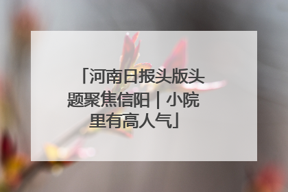 河南日报头版头题聚焦信阳｜小院里有高人气