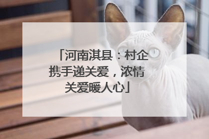 河南淇县：村企携手递关爱，浓情关爱暖人心