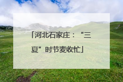 河北石家庄：“三夏”时节麦收忙