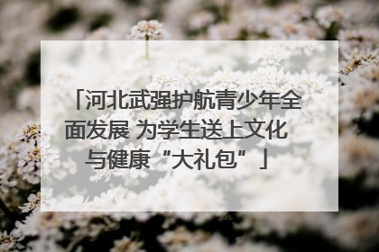 河北武强护航青少年全面发展 为学生送上文化与健康“大礼包”