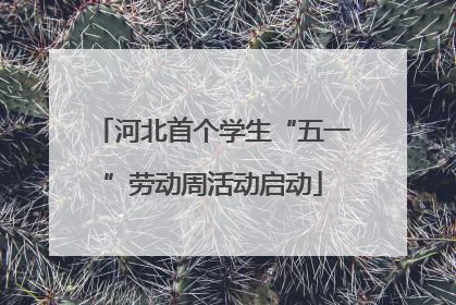 河北首个学生“五一”劳动周活动启动