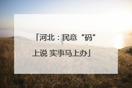 河北：民意“码”上说 实事马上办