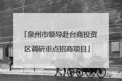 泉州市领导赴台商投资区调研重点招商项目