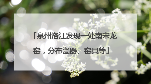 泉州洛江发现一处南宋龙窑，分布瓷器、窑具等