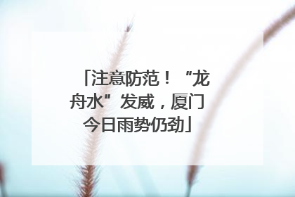 注意防范！“龙舟水”发威，厦门今日雨势仍劲