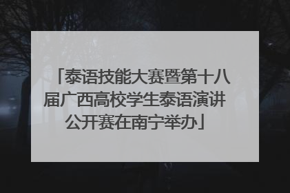泰语技能大赛暨第十八届广西高校学生泰语演讲公开赛在南宁举办