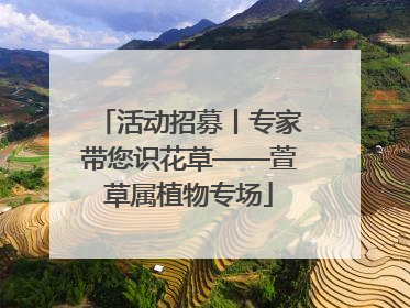 活动招募丨专家带您识花草——萱草属植物专场
