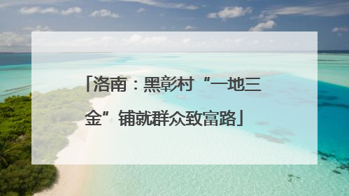 洛南：黑彰村“一地三金”铺就群众致富路