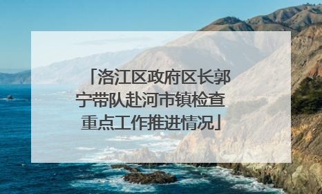 洛江区政府区长郭宁带队赴河市镇检查重点工作推进情况