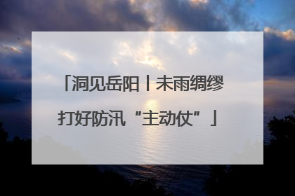 洞见岳阳丨未雨绸缪 打好防汛“主动仗”