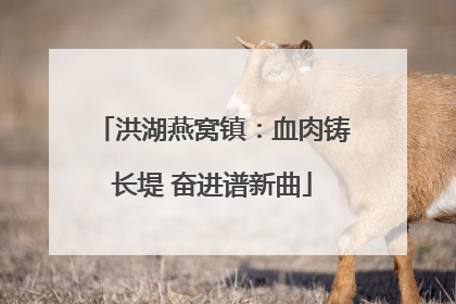 洪湖燕窝镇：血肉铸长堤 奋进谱新曲