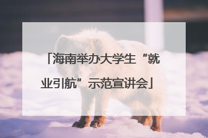 海南举办大学生“就业引航”示范宣讲会