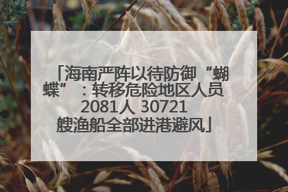 海南严阵以待防御“蝴蝶”：转移危险地区人员2081人 30721艘渔船全部进港避风