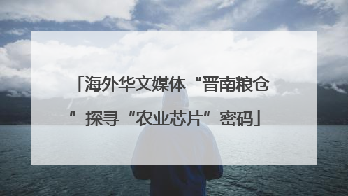 海外华文媒体“晋南粮仓”探寻“农业芯片”密码