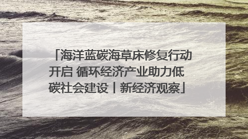 海洋蓝碳海草床修复行动开启 循环经济产业助力低碳社会建设丨新经济观察